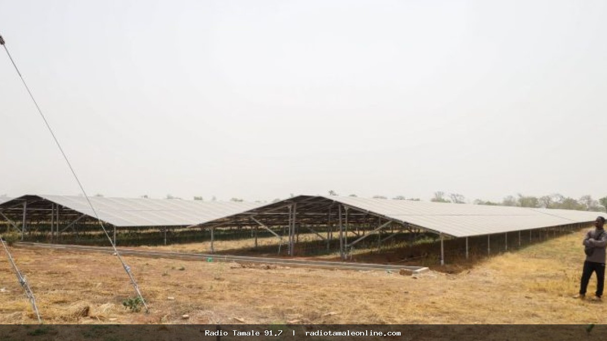 Bui Power Authority develops 150MW of solar power since 2020