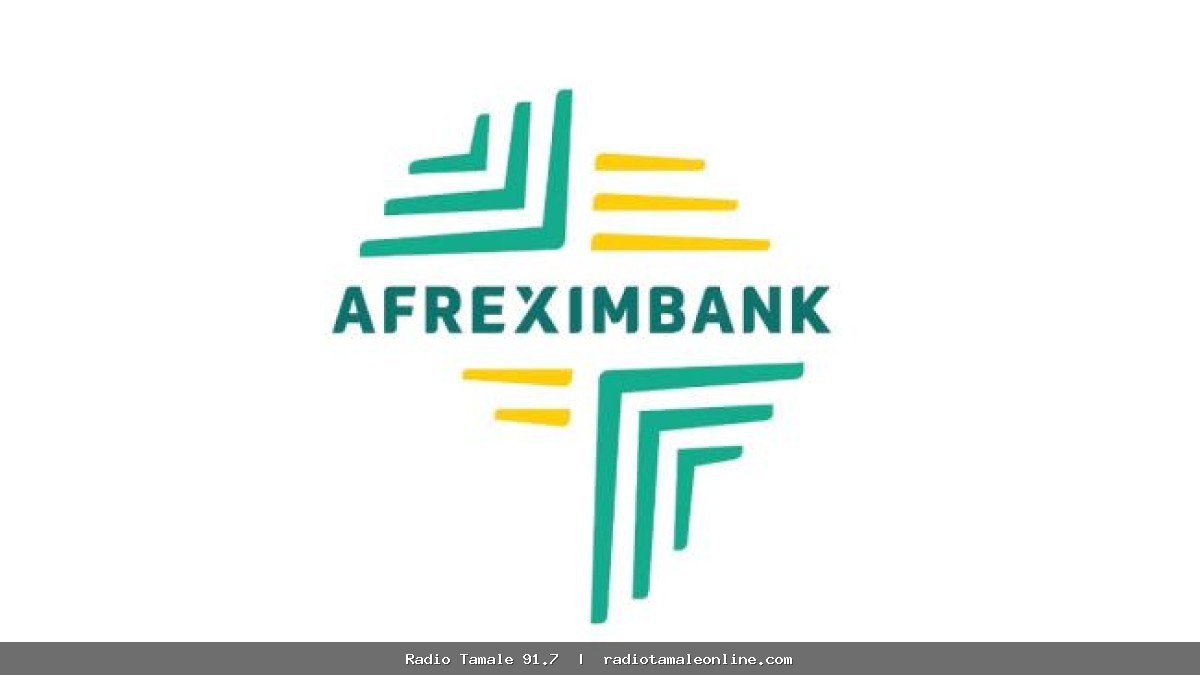 Afreximbank nine-month profit rises 24% to US$813.5m