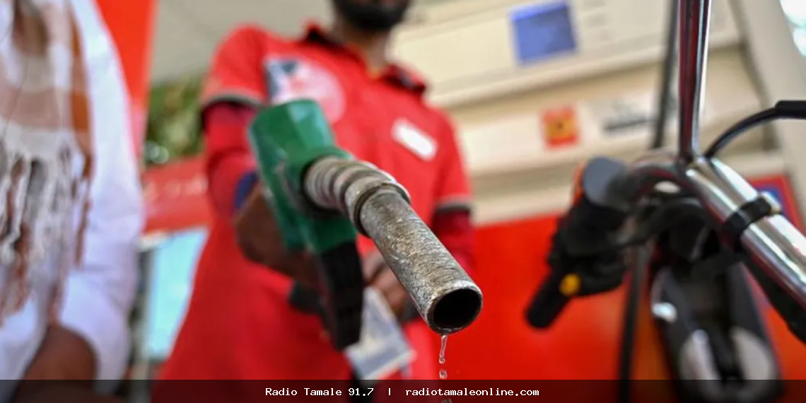 Diesel prices to rise, petrol and LPG prices to fall from August 16