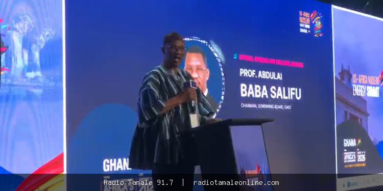 Nearly 600m Africans lack access to electricity – GAEC Board Chair