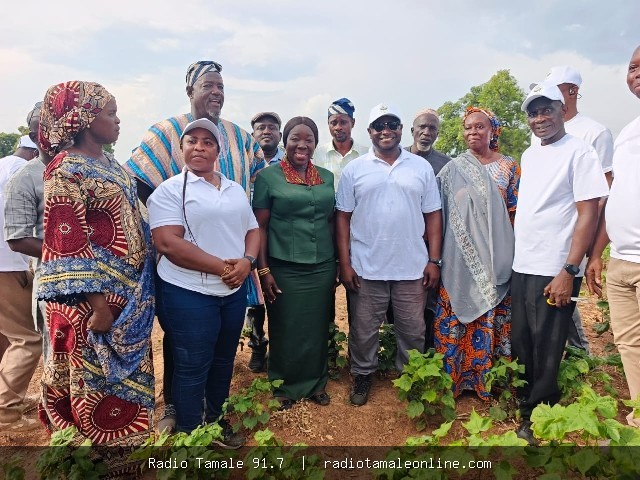 Government moves to revive cotton production for Ghana’s textile industry