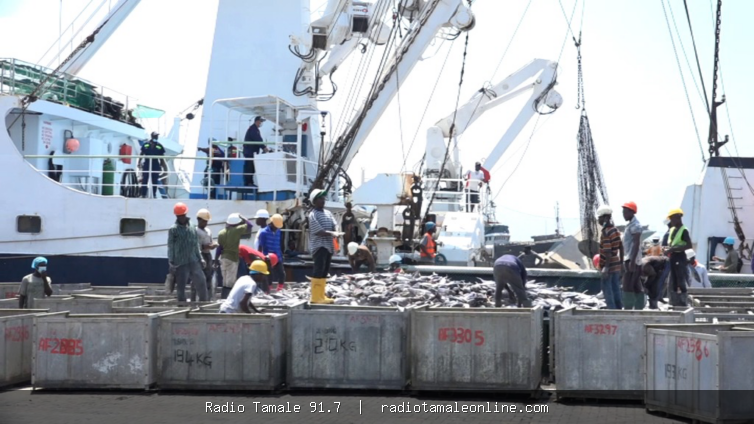 Ghana’s tuna industry in crisis as 20 hook-and-line vessels collapse