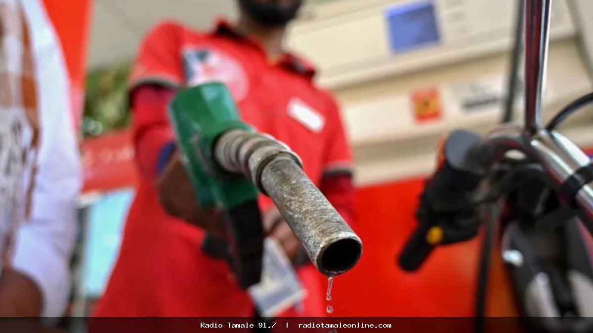 Diesel prices to rise, petrol and LPG prices to fall from August 16