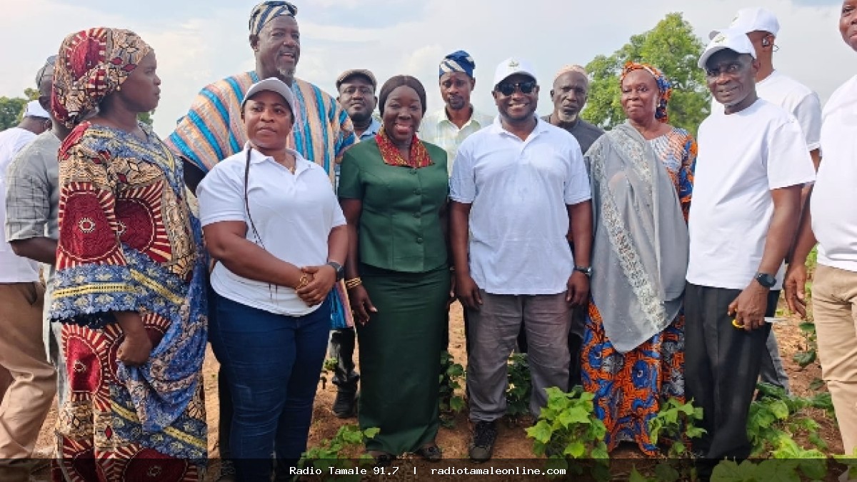 Government moves to revive cotton production for Ghana’s textile industry