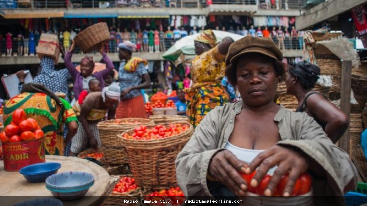 August inflation: 5% rise marginal, no need to panic – GUTA
