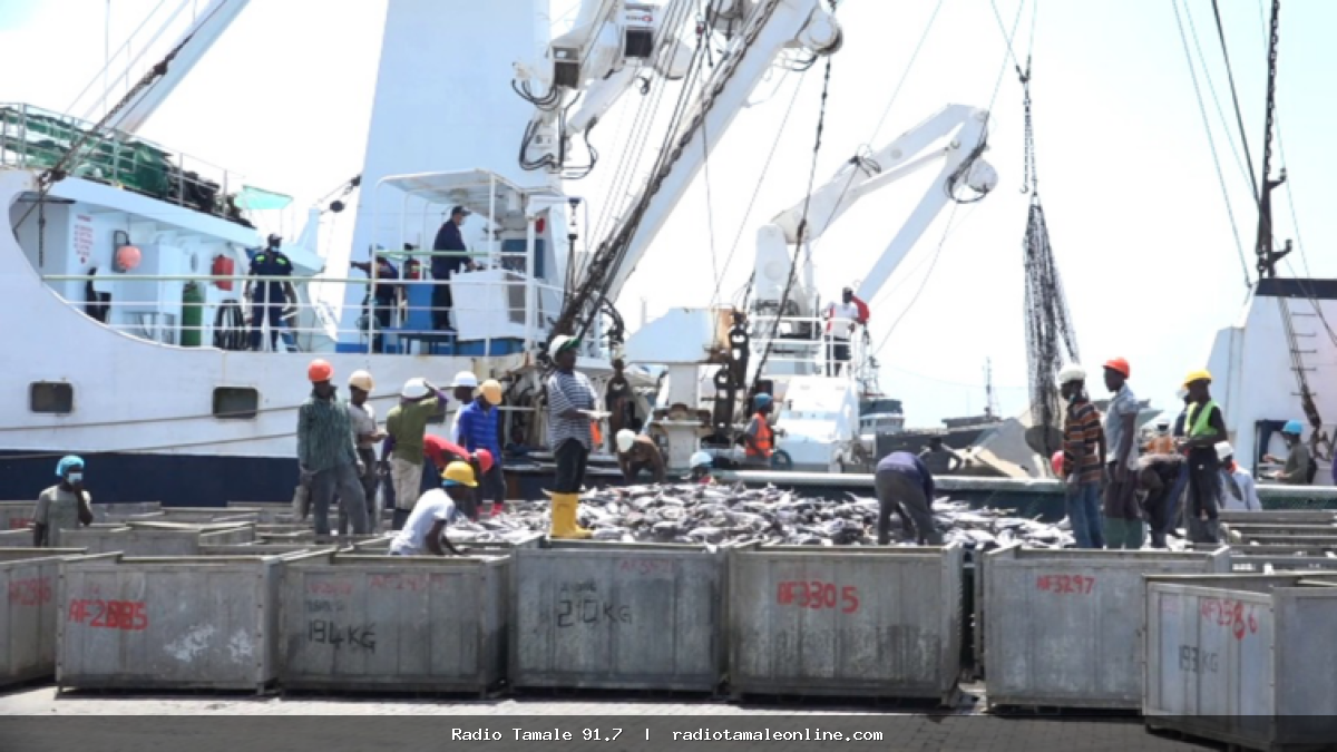 Ghana’s tuna industry in crisis as 20 hook-and-line vessels collapse